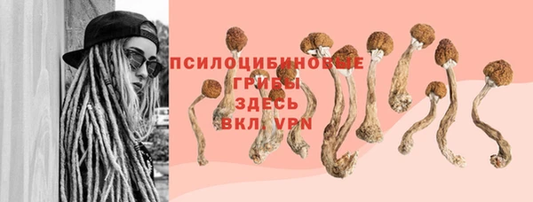 гашик Абдулино