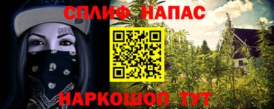 mdpv Гудермес