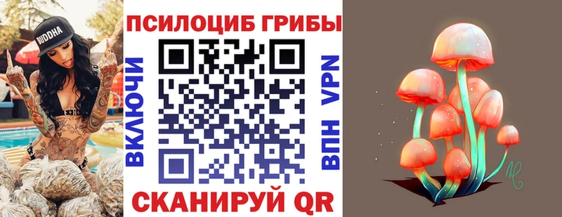 Псилоцибиновые грибы мухоморы  купить  сайты  Бийск 
