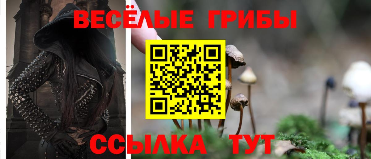 Бийск  Галлюциногенные грибы Psilocybe  Псилоцибиновые грибы MAGIC MUSHROOMS  Вход с VPN 